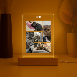 A nightlight based on your Pet  Customily MSC 038